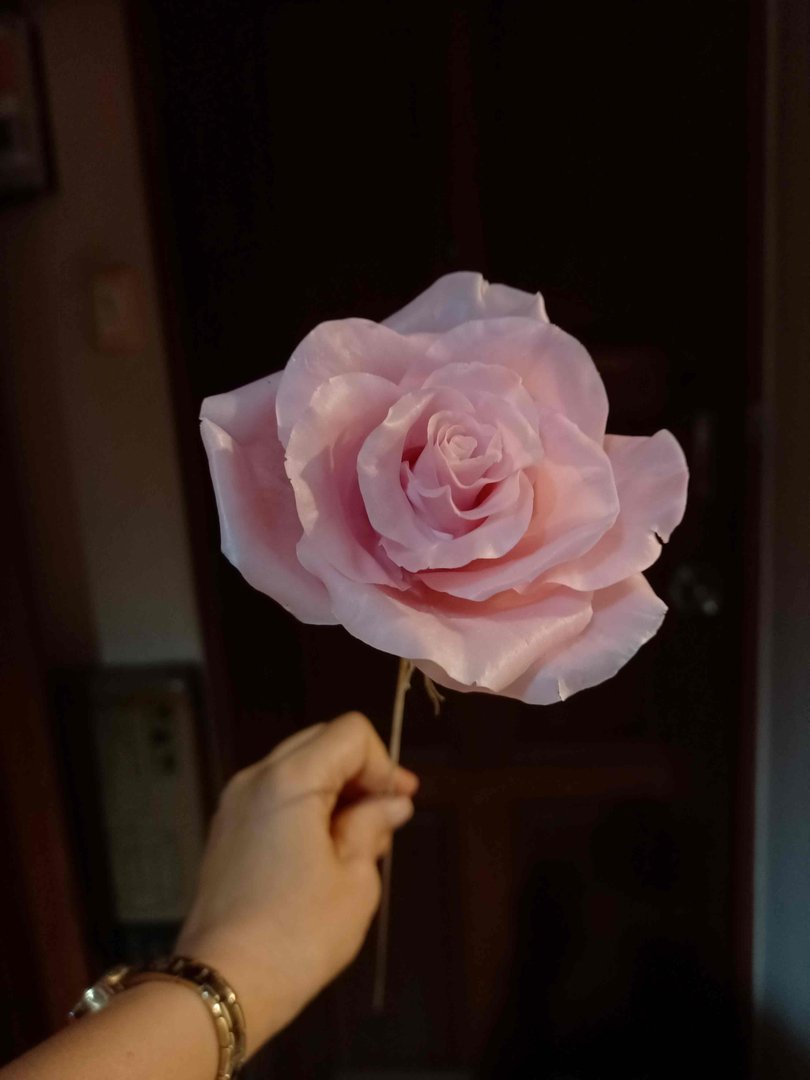 Clay roses journey